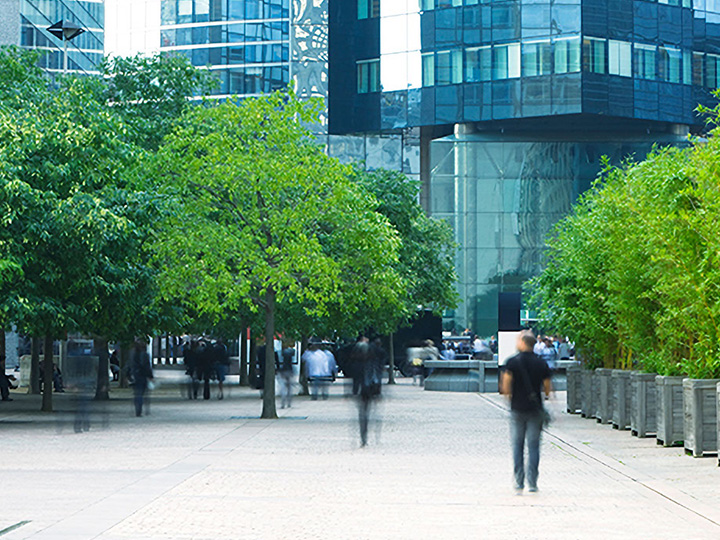 Businessmen walking in business district with trees