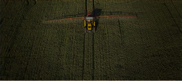 Birdseye view of a tractor driving through a field of green of leafy vegetables