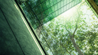 Image of corporate building and tree on a slant in a green tint