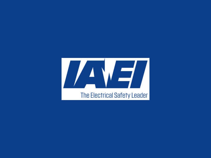 IAEI Southern Section Meeting