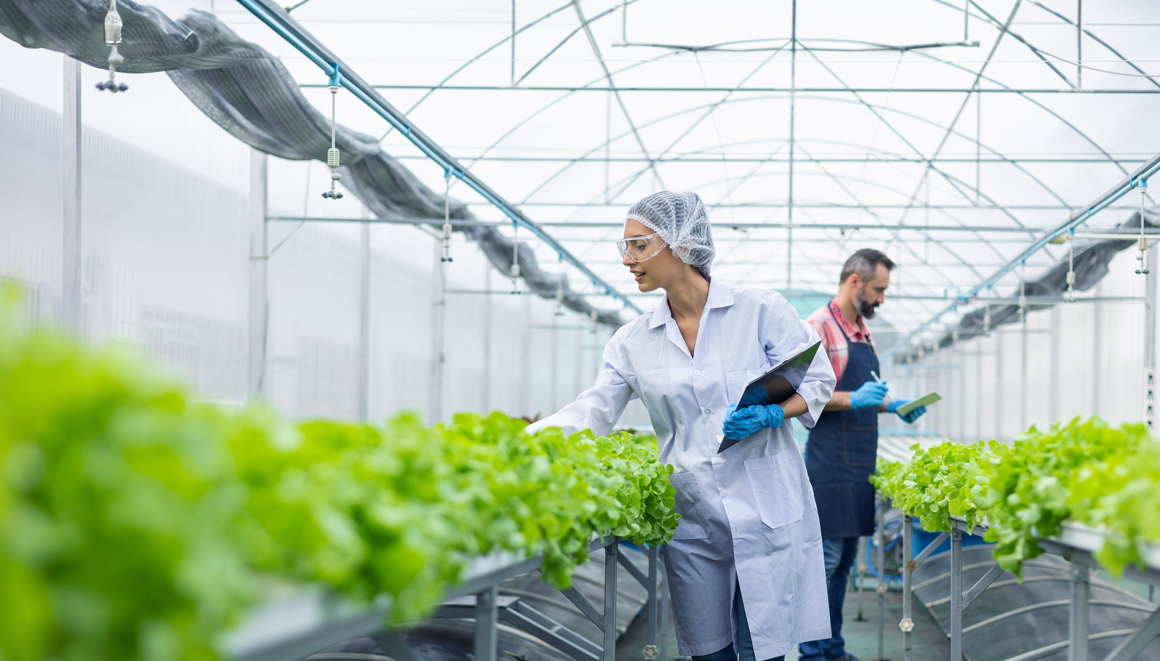 A woman in protective clothing holding a clipboard in a greenhouse filled with plants. An older man is in the background with a tablet reviewing data.