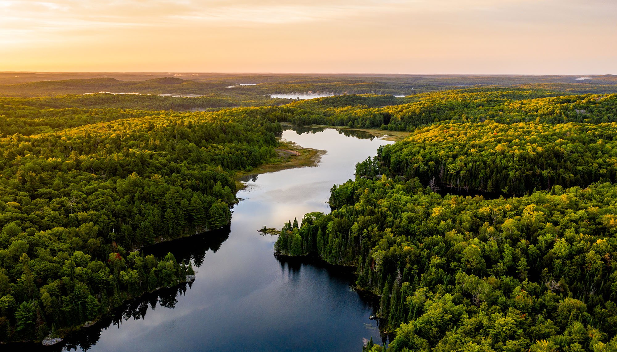 A river snakes through a hillside lined with trees as the sunrises in the distance