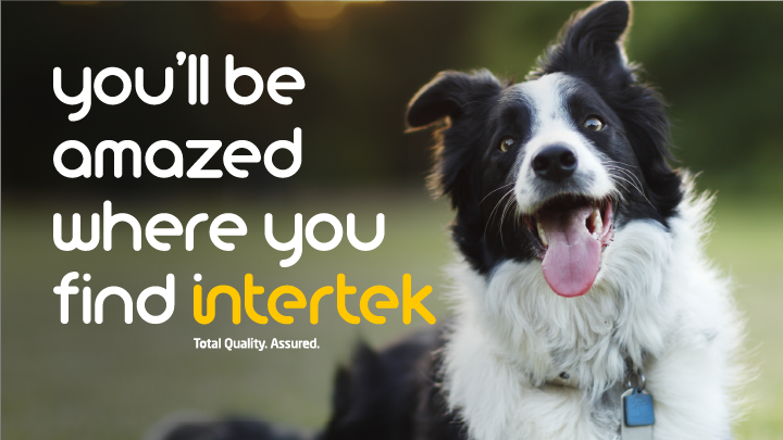 A photo of a collared black and white dog with his tongue out and text that says "You'll be amazed where you find Intertek." 