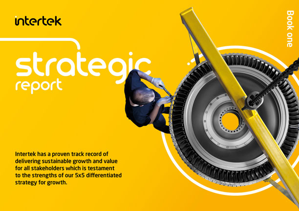 Strategic Report cover